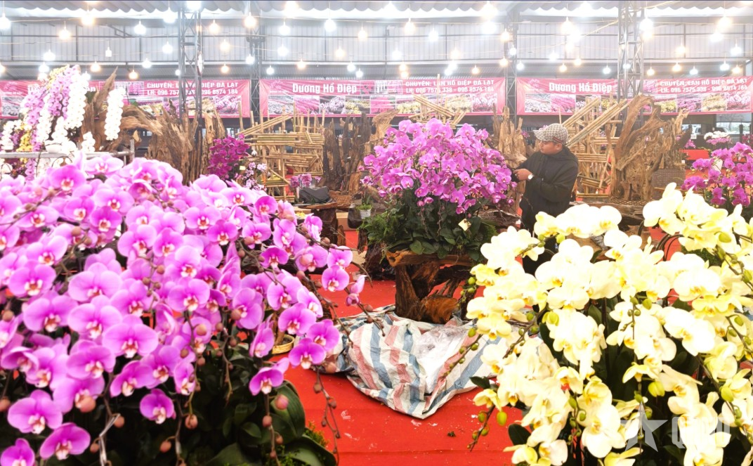 Hội chợ hoa xuân phường Long Biên